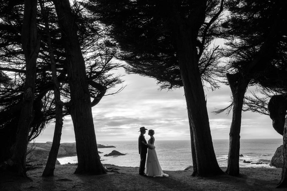 The Grove, Mendocino CA