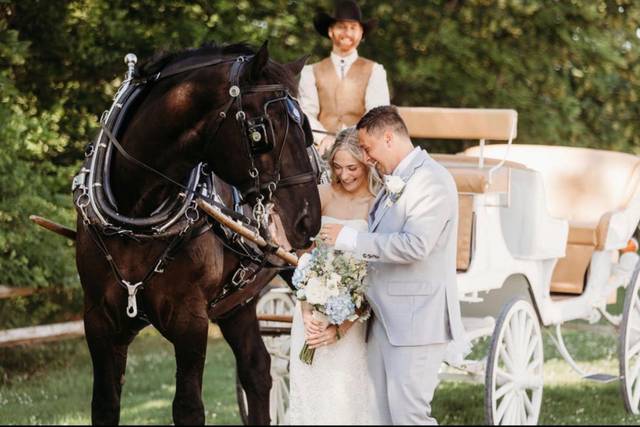 Petting the horse