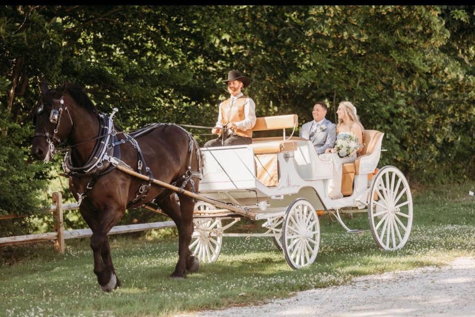 Carriage ride