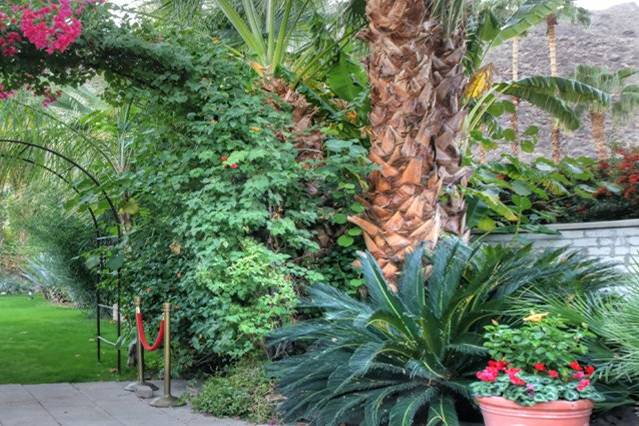 Garden Arch Courtyard