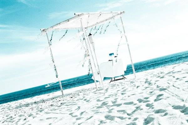 Wonderstruck Photography