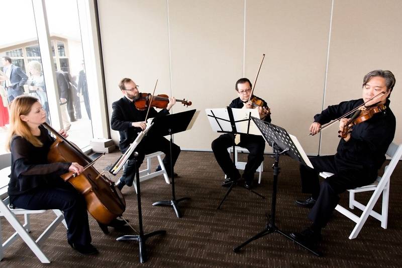 Hyde Park Strings quartet