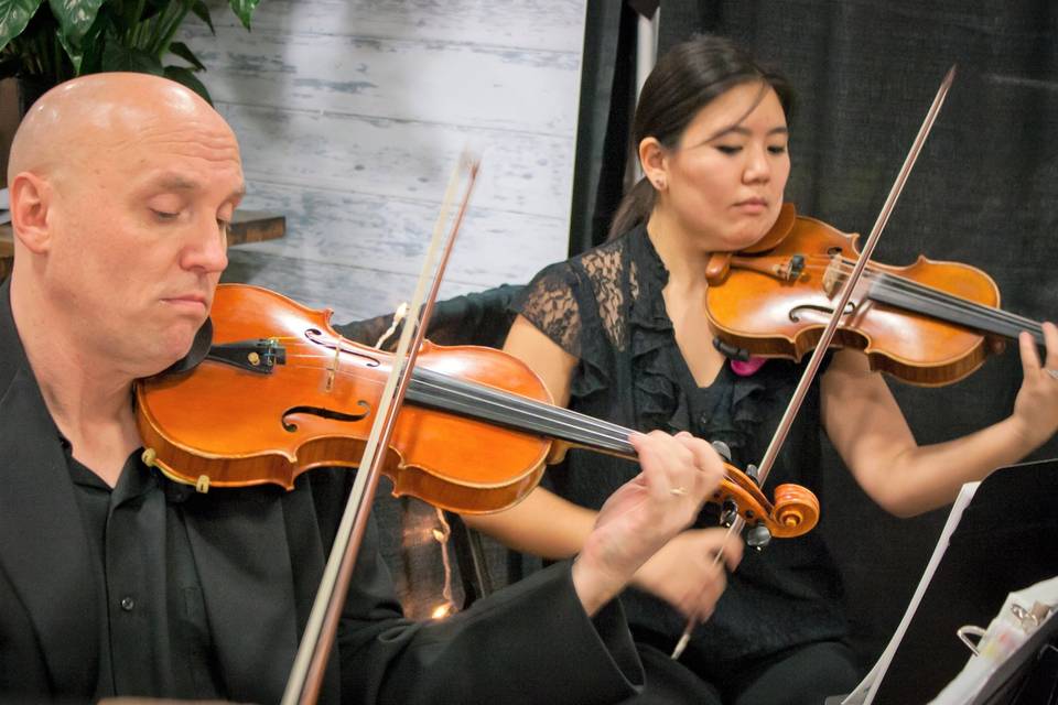 Hyde Park Strings violins