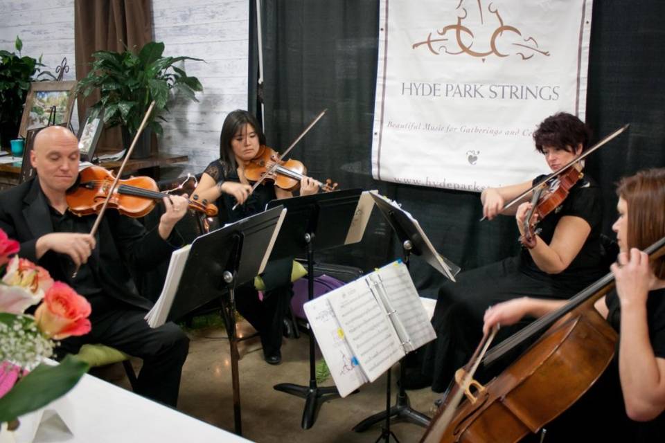 Hyde Park Strings