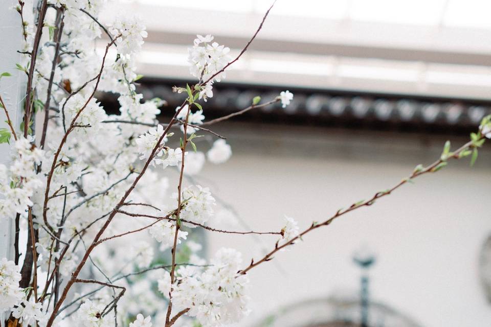 Cherry Blossom detail