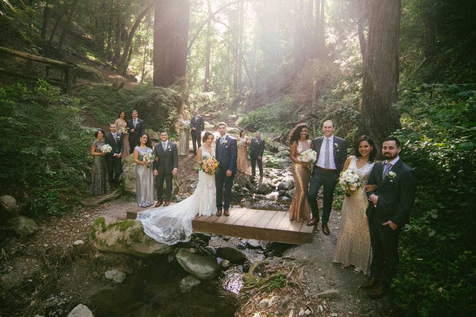 Wedding party portrait