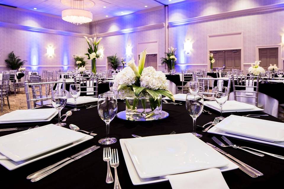 Contemporary Elegance