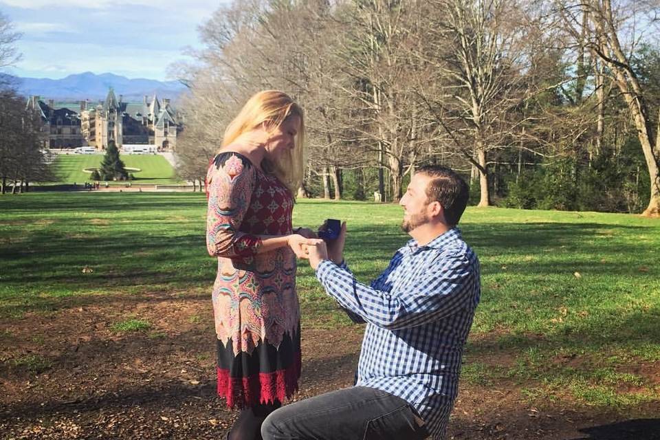 Proposal in the park