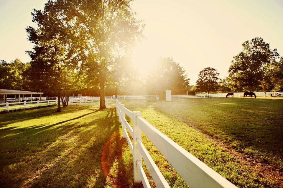 At the farm