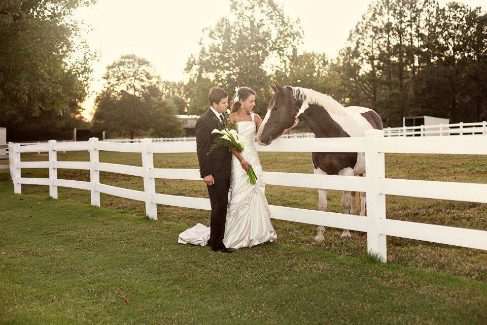 The newlyweds and a horse