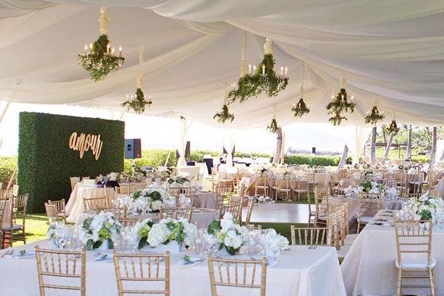 The Wedding Linen Company