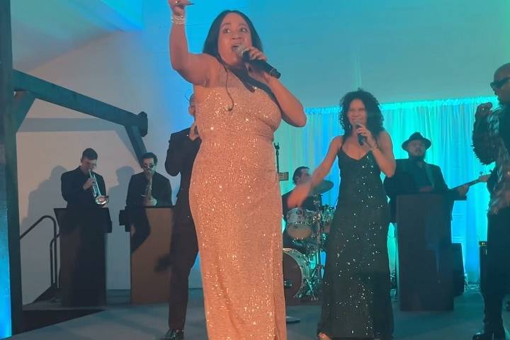 Layla Emerald Orchestra