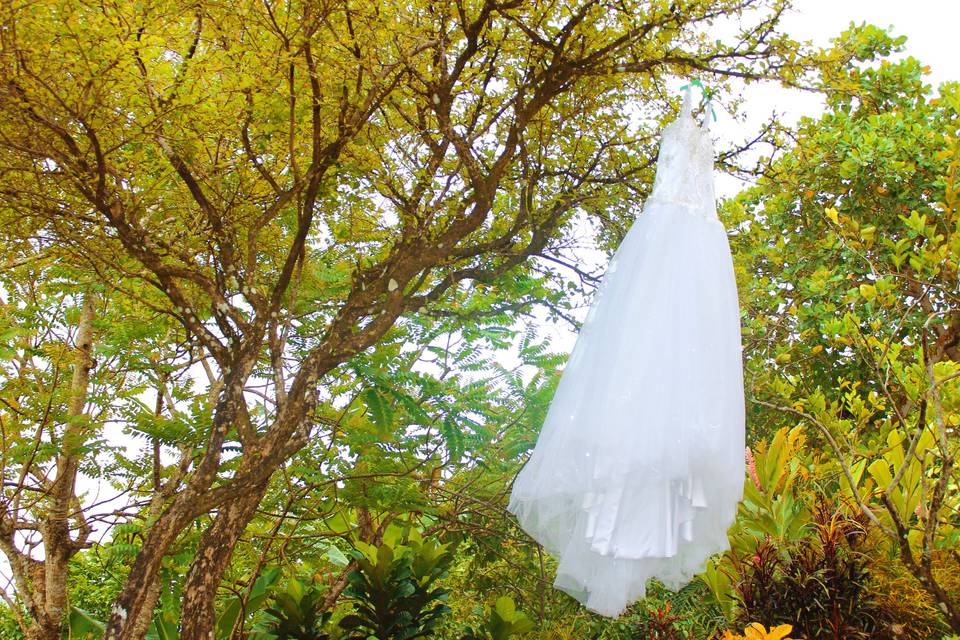Provideo Saint Lucia weddings