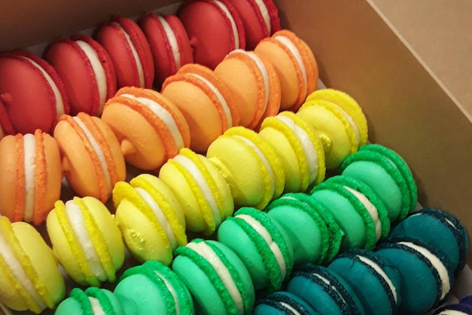 Rainbow macarons