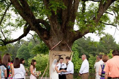 Tree backdrop