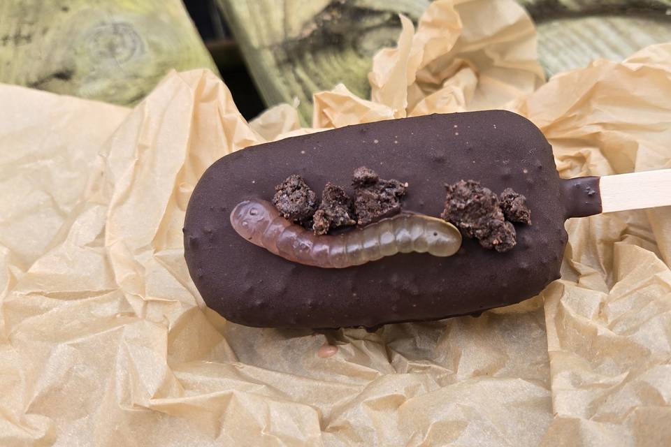 Dirt Ice Cream Bar.jpg