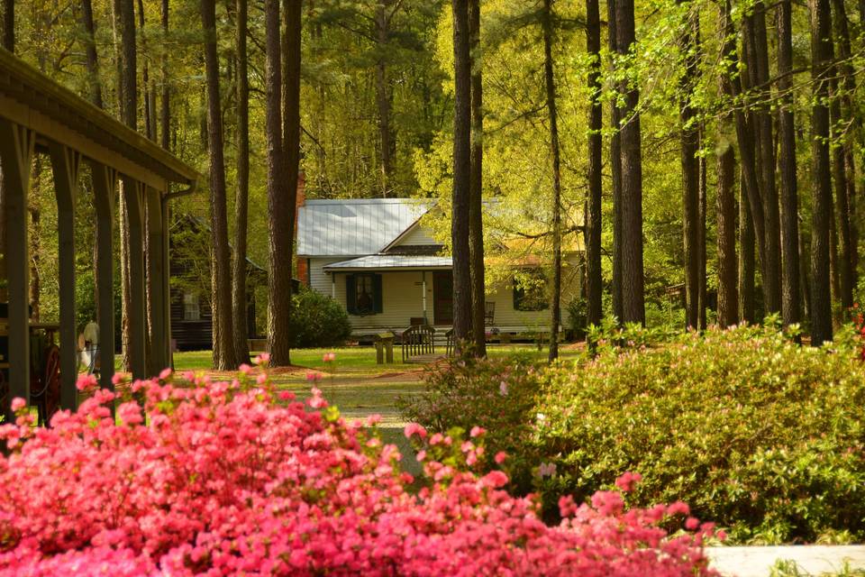 Tobacco Farm Life Museum