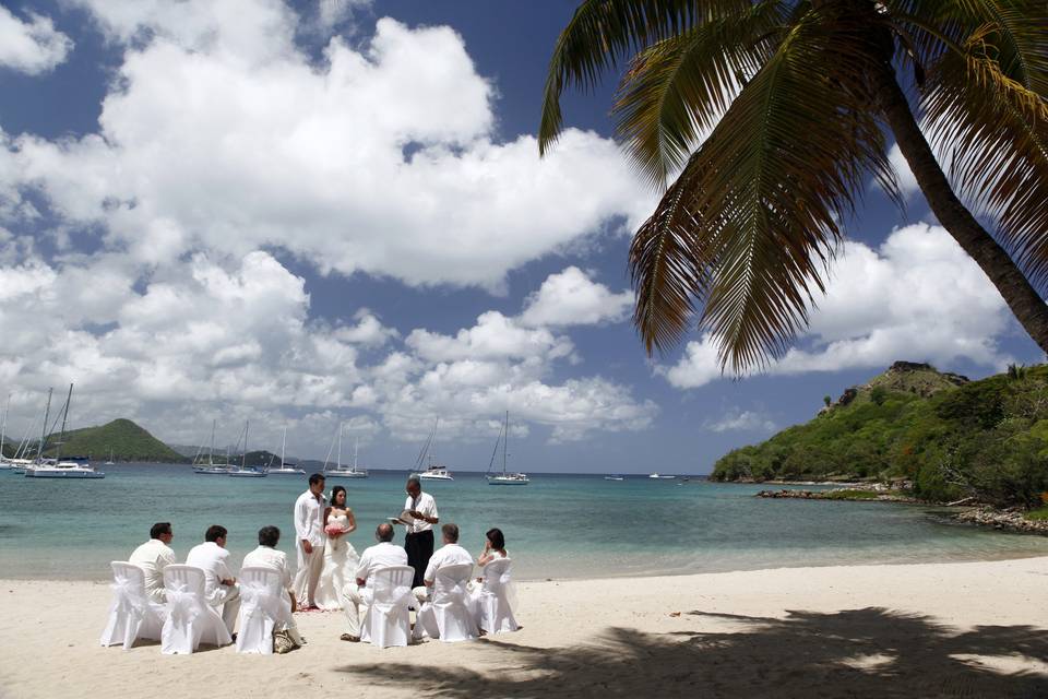 Awesome Caribbean Weddings