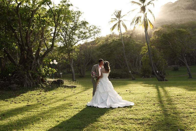 Awesome Caribbean Weddings