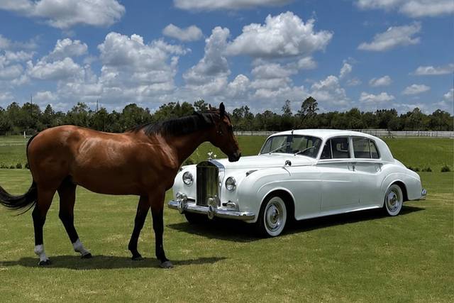 Naples Wedding Car
