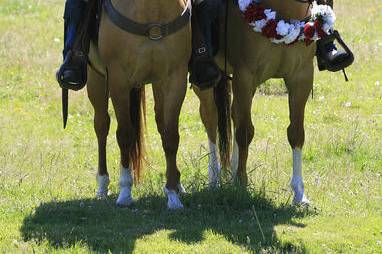 Couple on a horse