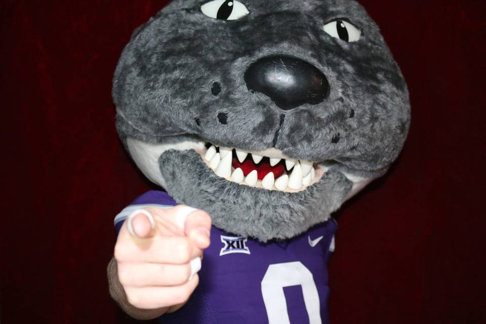 Willie the Wildcat!