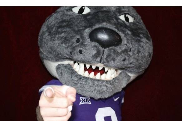 Willie the Wildcat!