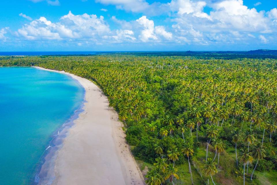 Aereal view of the beach