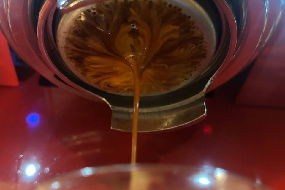 Extraction