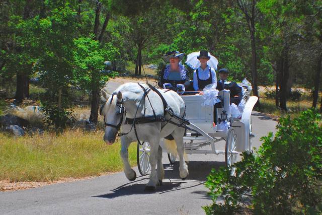 Carriage ride