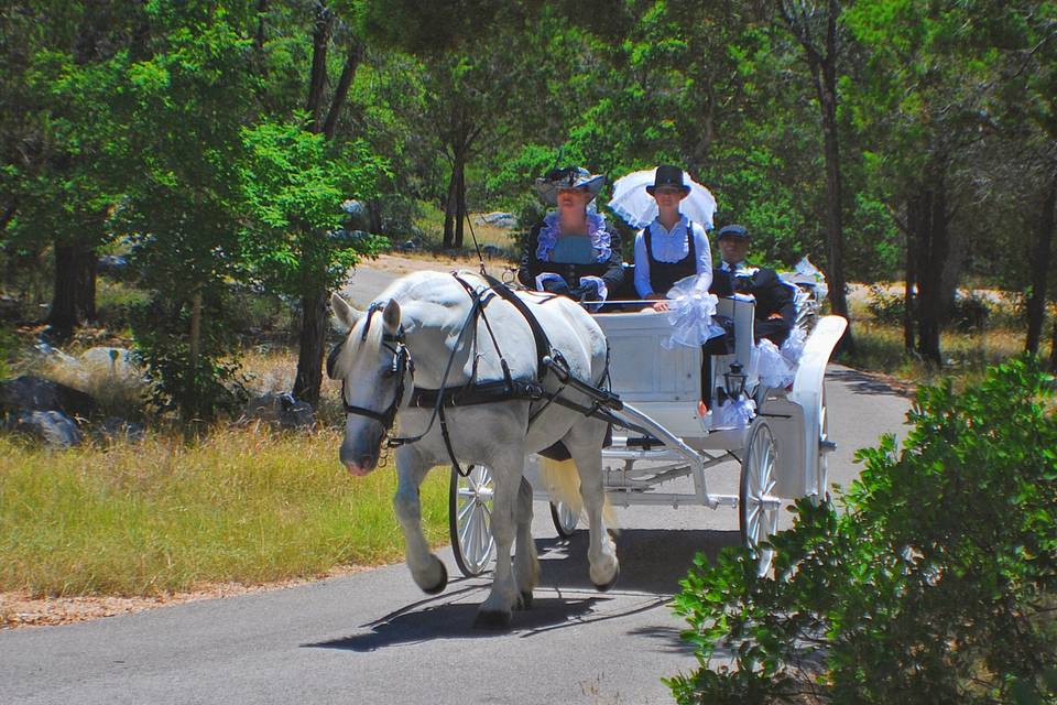 Carriage ride