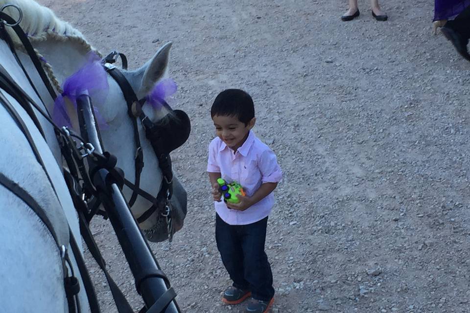 Little boy near the horse