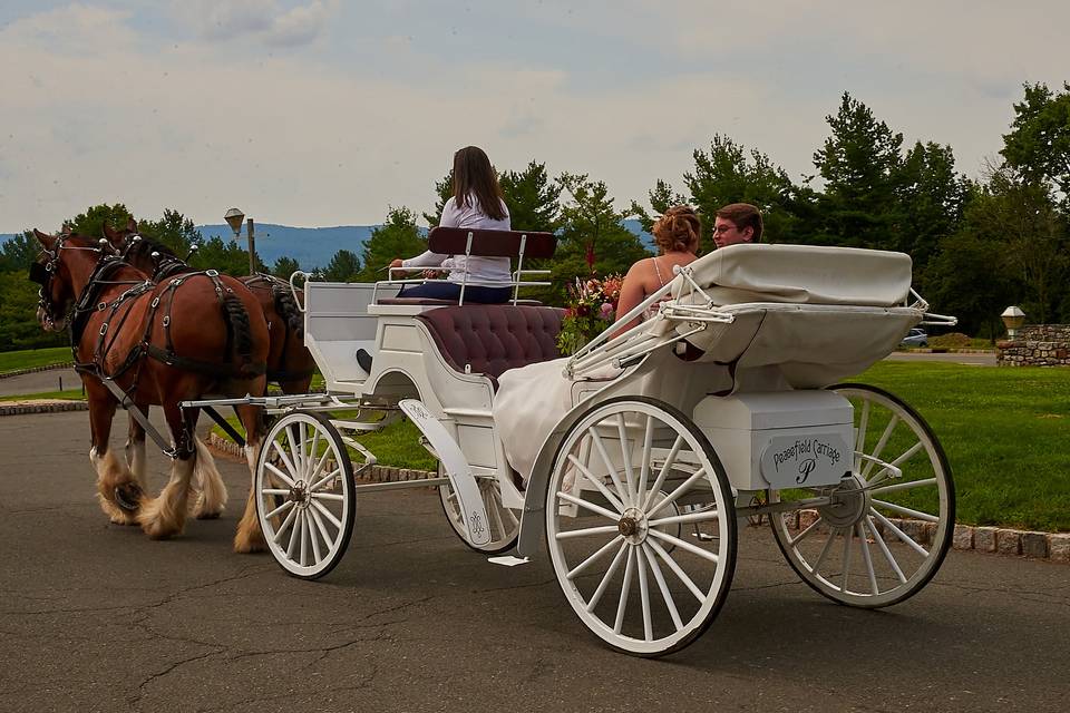 Carriage Ride