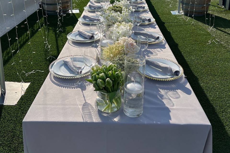 Elegant soiree in the sun