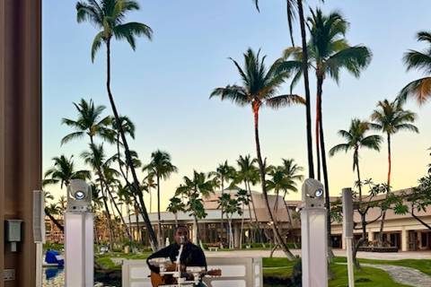 Guitar Soloist For Cocktails