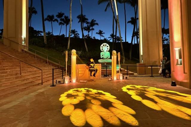 Guitar Soloist For Dinner