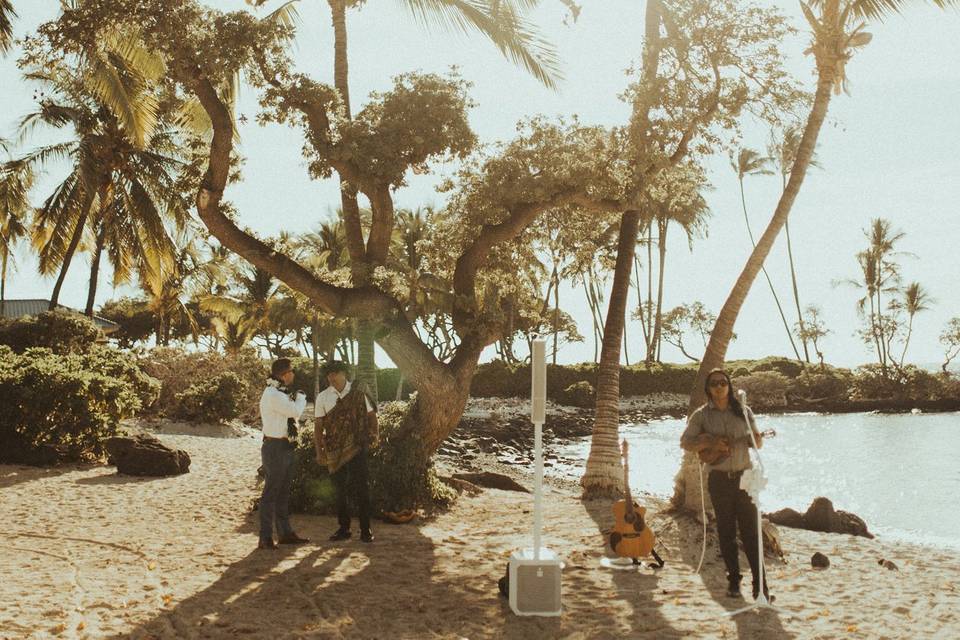 Fairmont Orchid. Coconut Grove