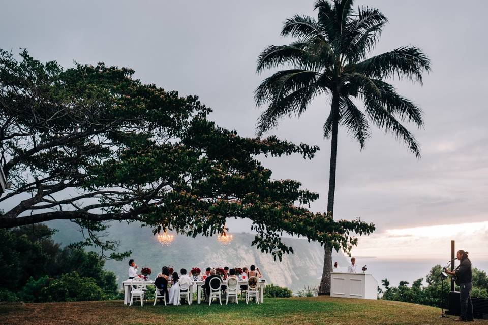 Hawaiian Dinner Music