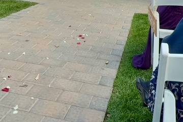 Wedding Photos
