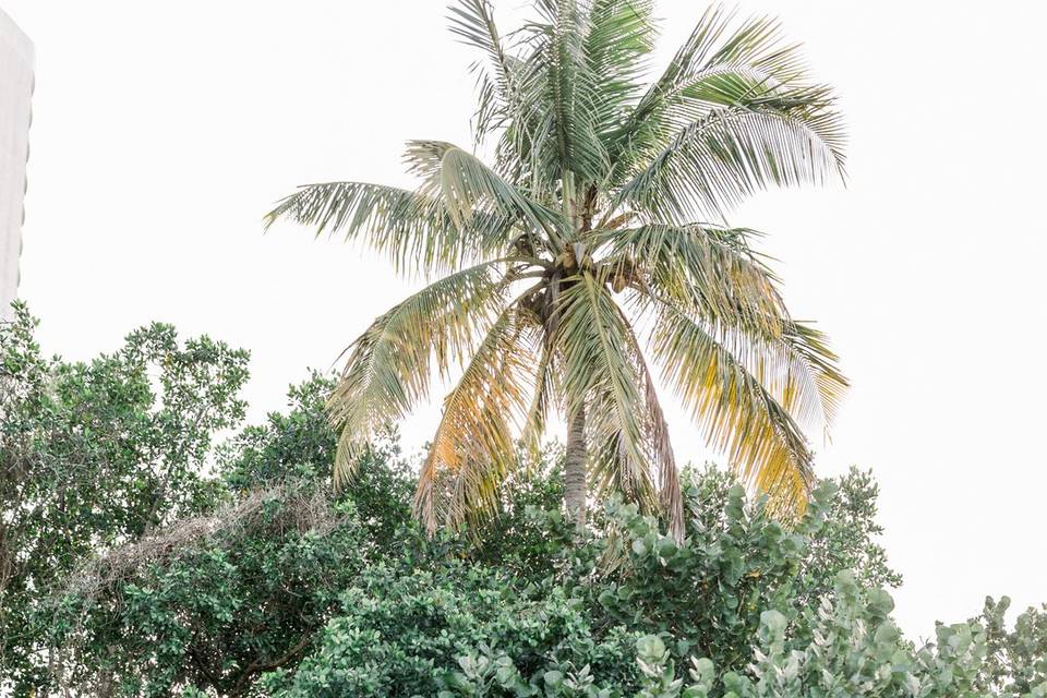 Emerald Tented Wedding