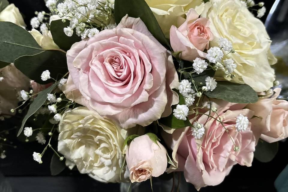 Blush & White