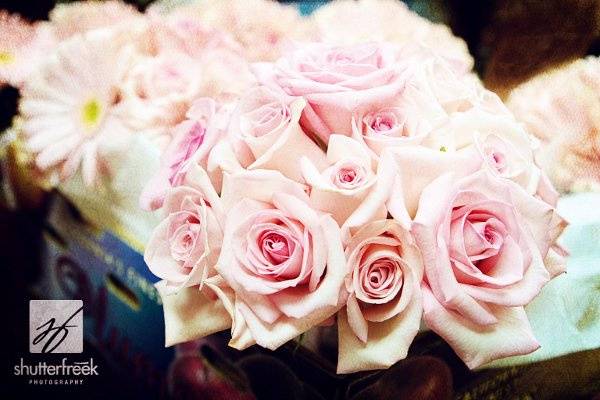 Simple pink rose bridal bouquet.  Photo by shutterfreek.com