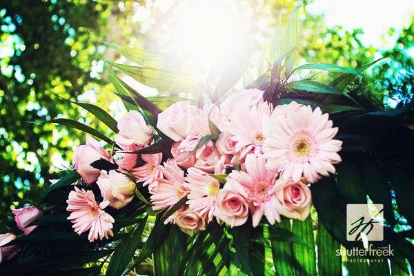 Floral archway.  Photo by shutterfreek.com