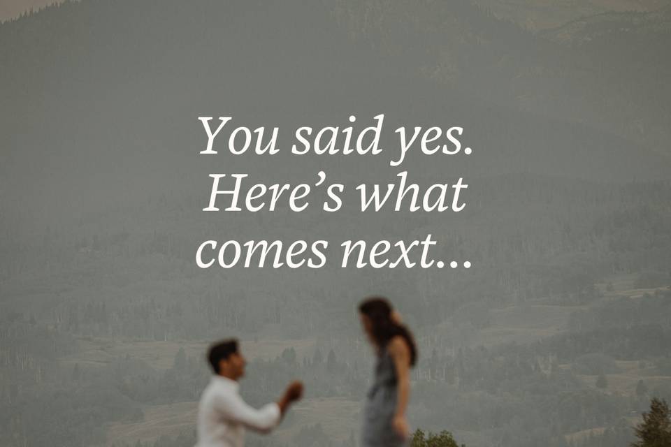 Engaged and Planning