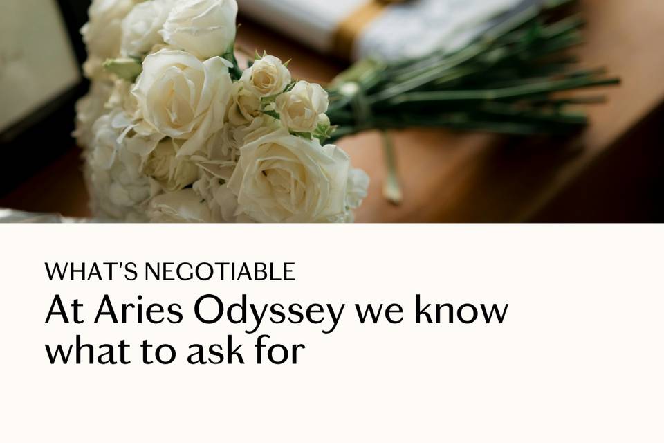 Aries Odyssey Planning