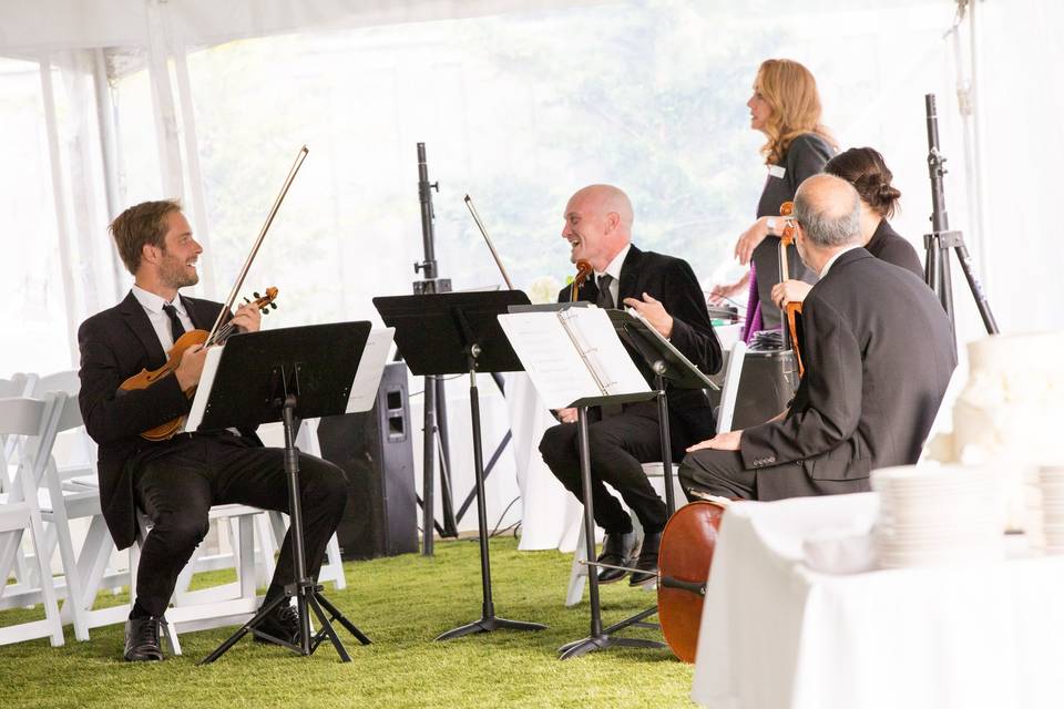 Vegas Valley Strings