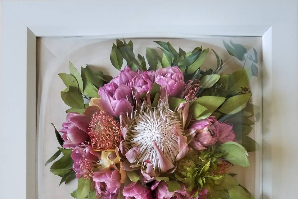 King Protea, Orchids, Tulips