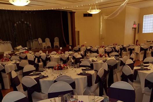 White and violet motif