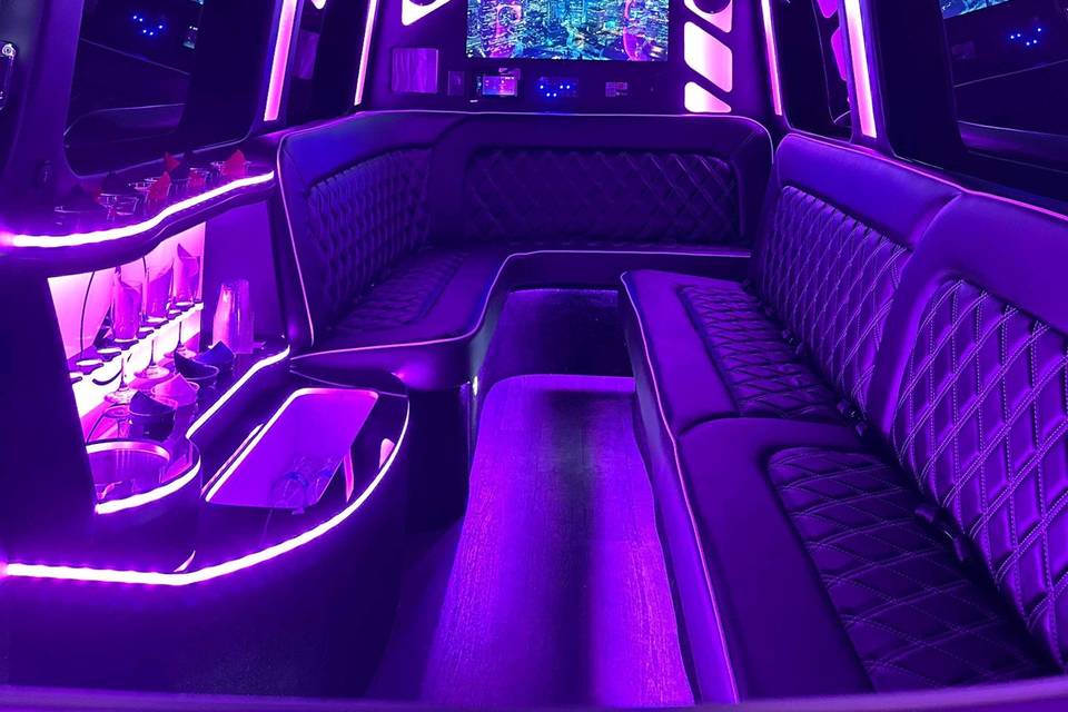 White Sprinter Limo Bus