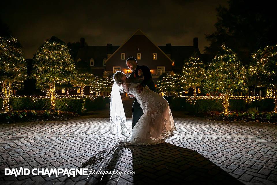 Holiday Lights in the Garden